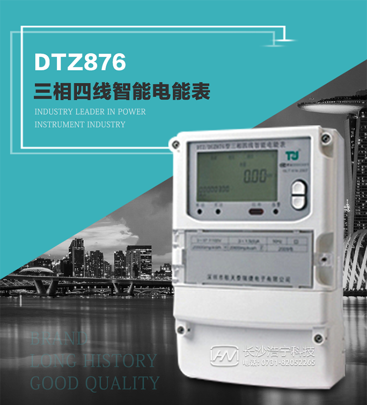 DTZ876型智能電能表是采用大規模集成電路，應用數字采樣處理技術及SMT工藝，根據工業用戶實際用電狀況所設計制造的具有現代先進水平的儀表。
該表性能指標符合GB/T 17215.321-2008《交流電測量設備 特殊要求》第21部分靜止式有功電能表（1級和2級）、GB/T 17215.322-2008《交流電測量設備 特殊要求》第22部分靜止式有功電能表（0.2S級和0.5S級）國家標準和DL/T 614–2007《多功能電能表》標準，其通信符合DL/T645–2007《多功能電能表通信協議》的要求，并兼容DL/T645–1997《多功能表通信規約》的要求，可根據功能定制需求符合多功能電能表的各項技術要求。