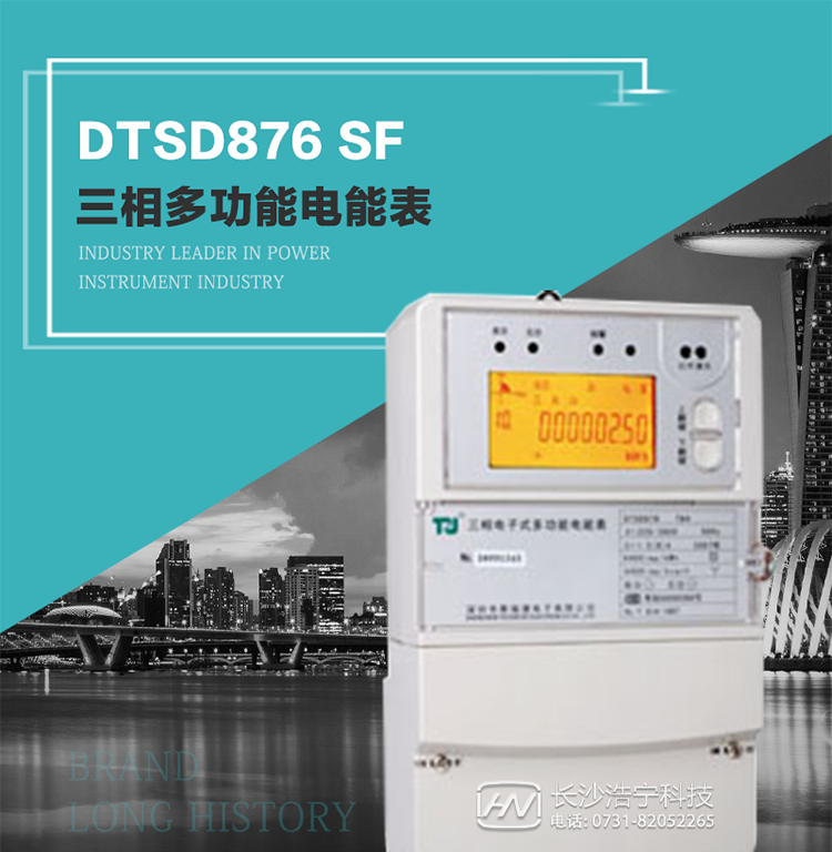 產品型號：DTSD876 SF型 三相多功能電能表
精度等級：有功0.5級 1級；無功2級 
額定電壓： 3×100V 3×57.7/100V 3×220/380V 
額定電流： 1.5(6)A 5(20)A 10(40)A 15(60)A 20(80)A 30(100)A 
頻 率： -40℃～+70℃ 
工作溫度：≤0.5S 
顯示方式： ≥1000mAh 
整機功耗： ≥10年 
重量： 約2.4kg 
外形尺寸： 293mm×175mm×80mm
